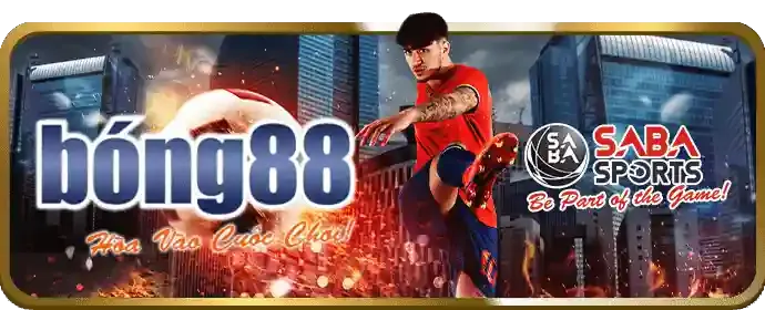 Rồng Hổ Nhanh Chóng